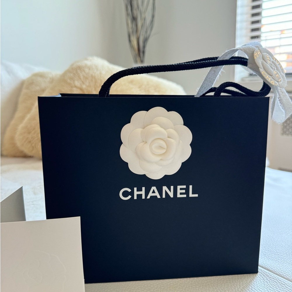 Chanel Medium Boutique Paper Bag - Picture 3 of 8